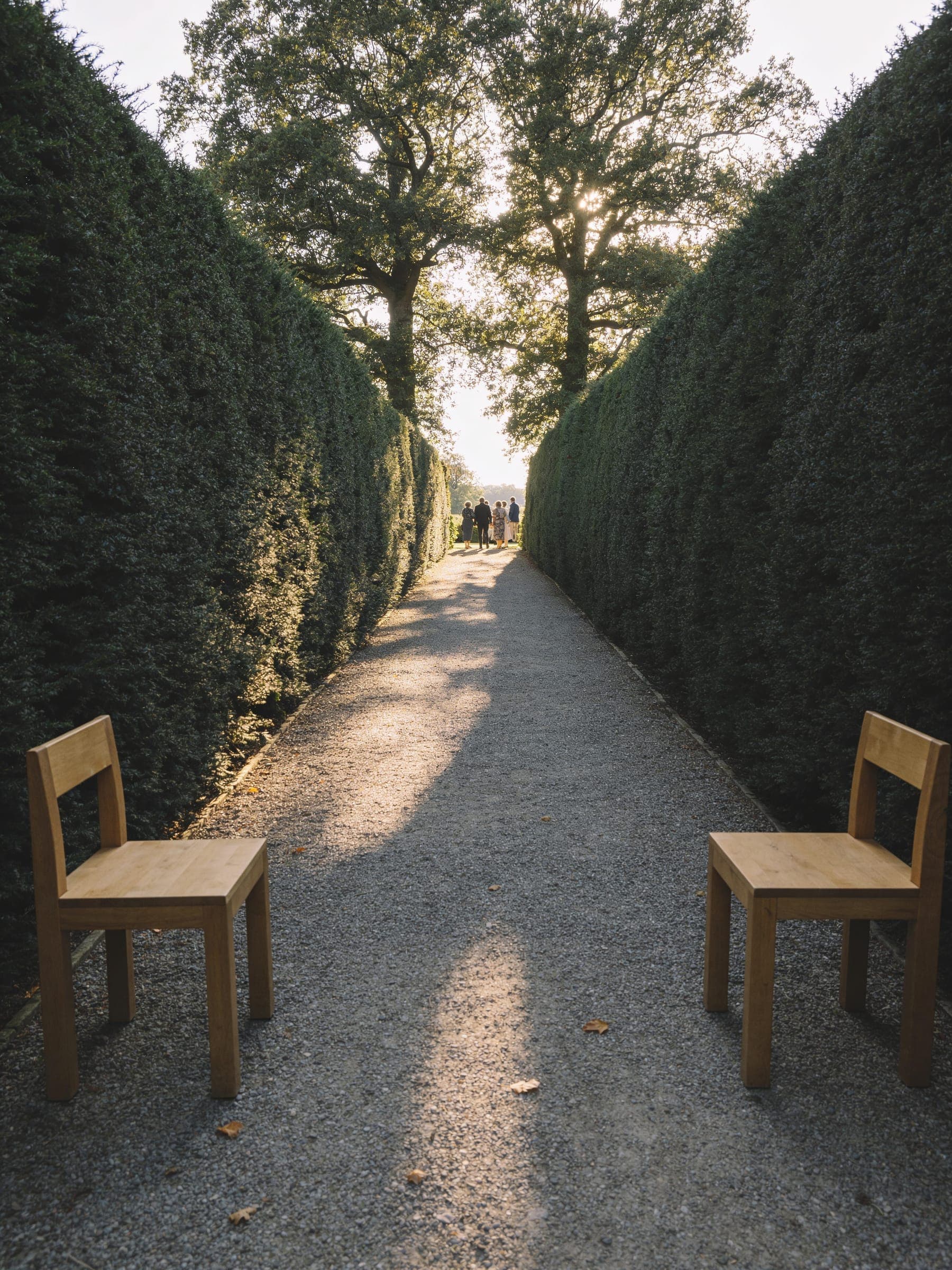 A gravel path between tall clipped yew hedges leading to two old trees, with a wooden chair on either side and guests gathering at the far end.