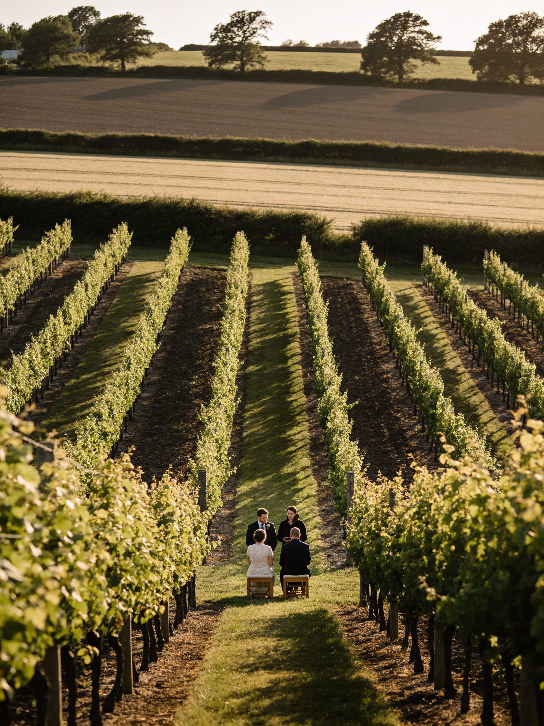 A small ceremony on a grassy strip between long vine rows, with fields and hedgerows beyond in low evening sun.