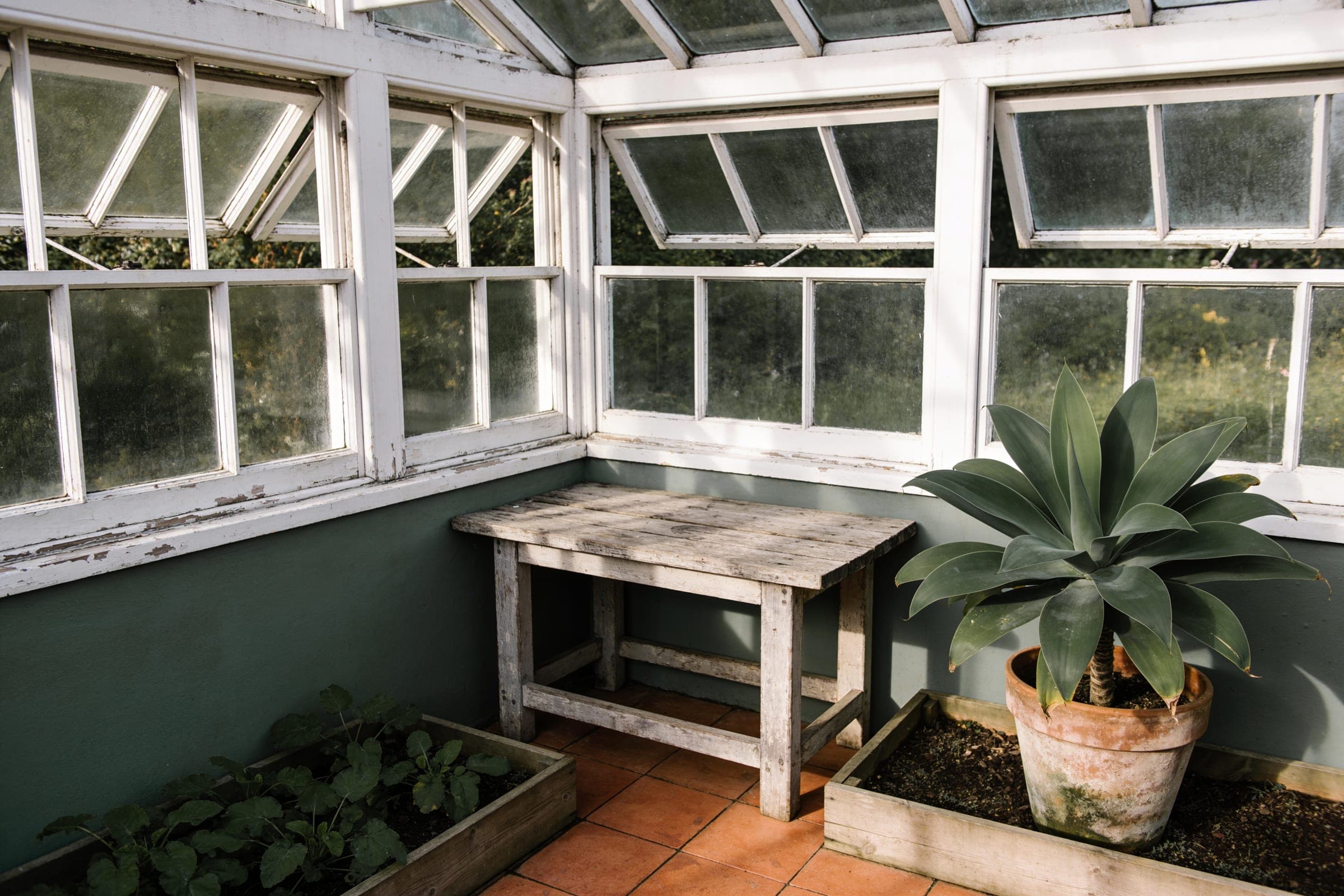 An empty glasshouse corner with white-painted window frames, a weathered wooden bench, a potted agave and terracotta floor tiles.